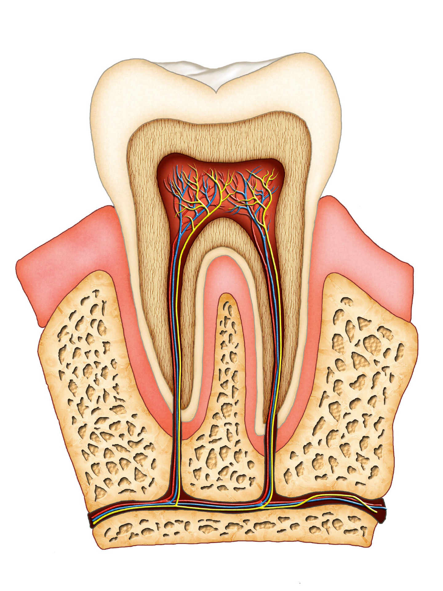 Боль в зубе после удаления нерва